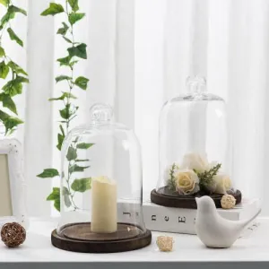 Clear Glass Cloche Display with Brown Wood Base, Set of 2