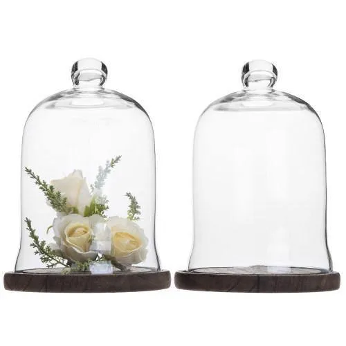 Clear Glass Cloche Display with Brown Wood Base, Set of 2