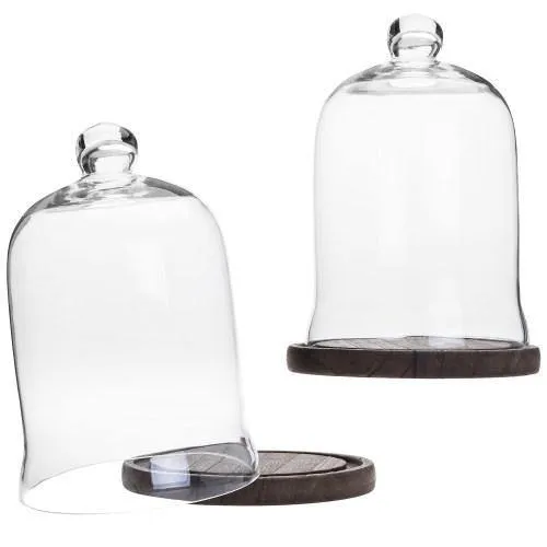 Clear Glass Cloche Display with Brown Wood Base, Set of 2