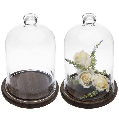 Clear Glass Cloche Display with Brown Wood Base, Set of 2