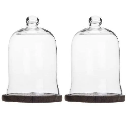 Clear Glass Cloche Display with Brown Wood Base, Set of 2