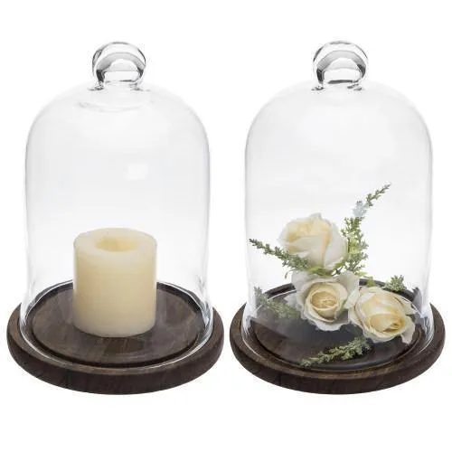 Clear Glass Cloche Display with Brown Wood Base, Set of 2