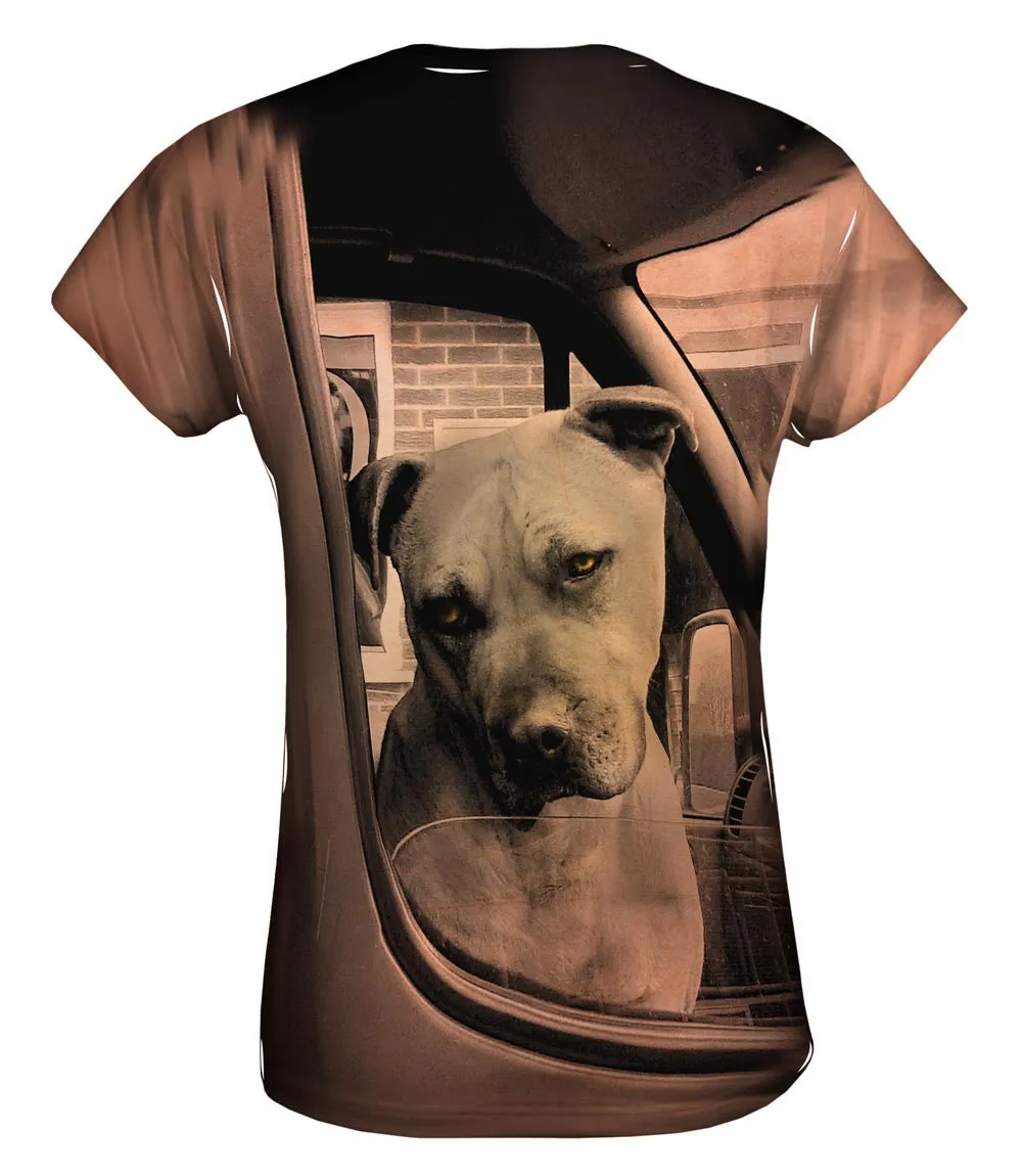 Driving Boxer Dog