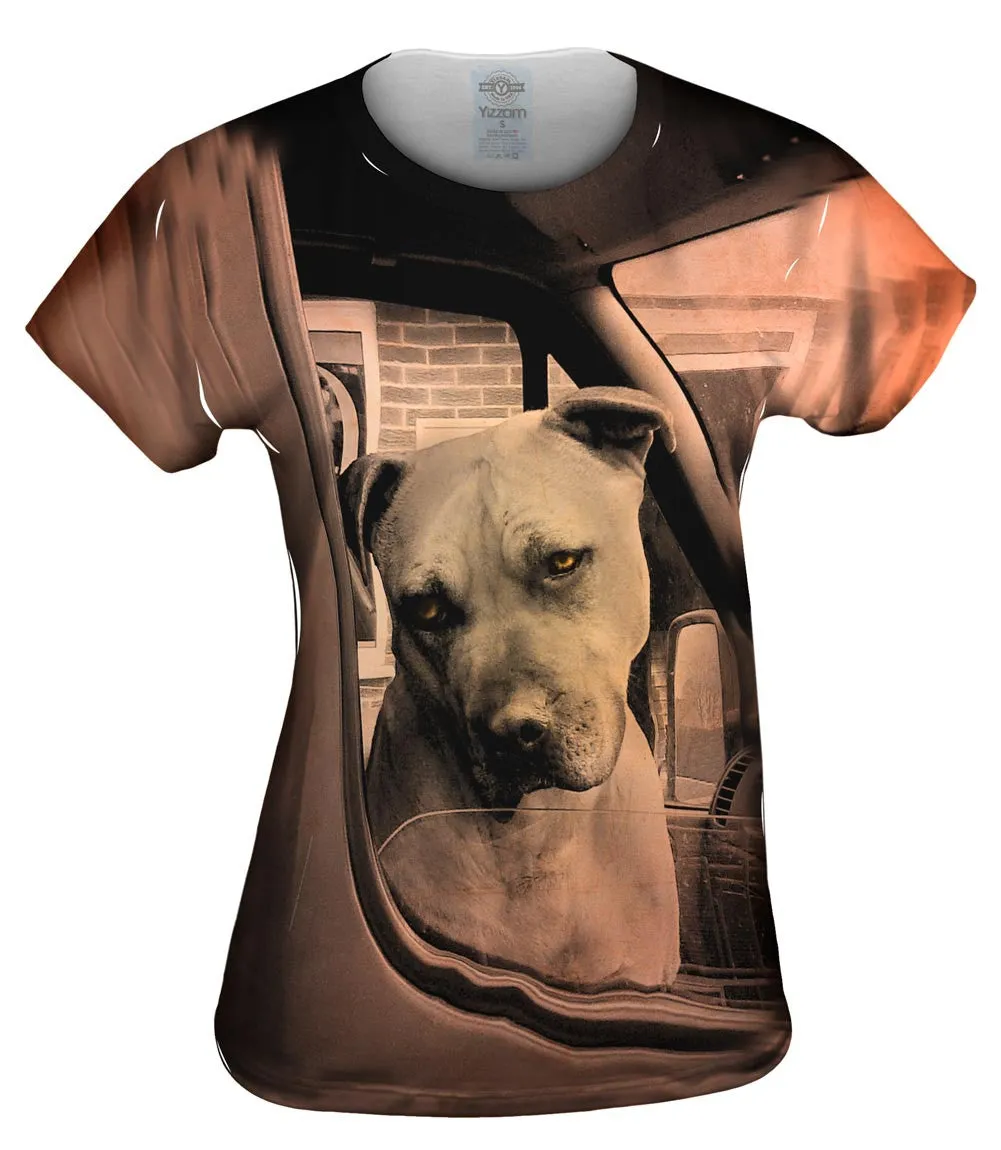 Driving Boxer Dog