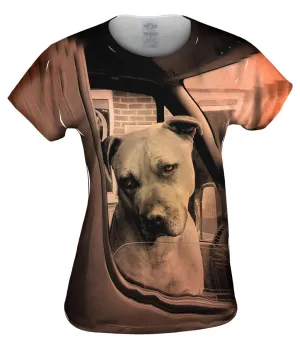 Driving Boxer Dog