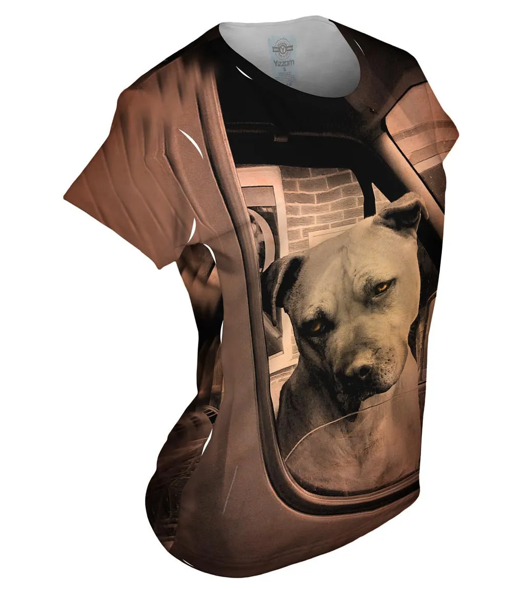Driving Boxer Dog