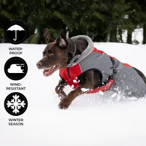 Shedrow K9 Chinook Equestrian Red