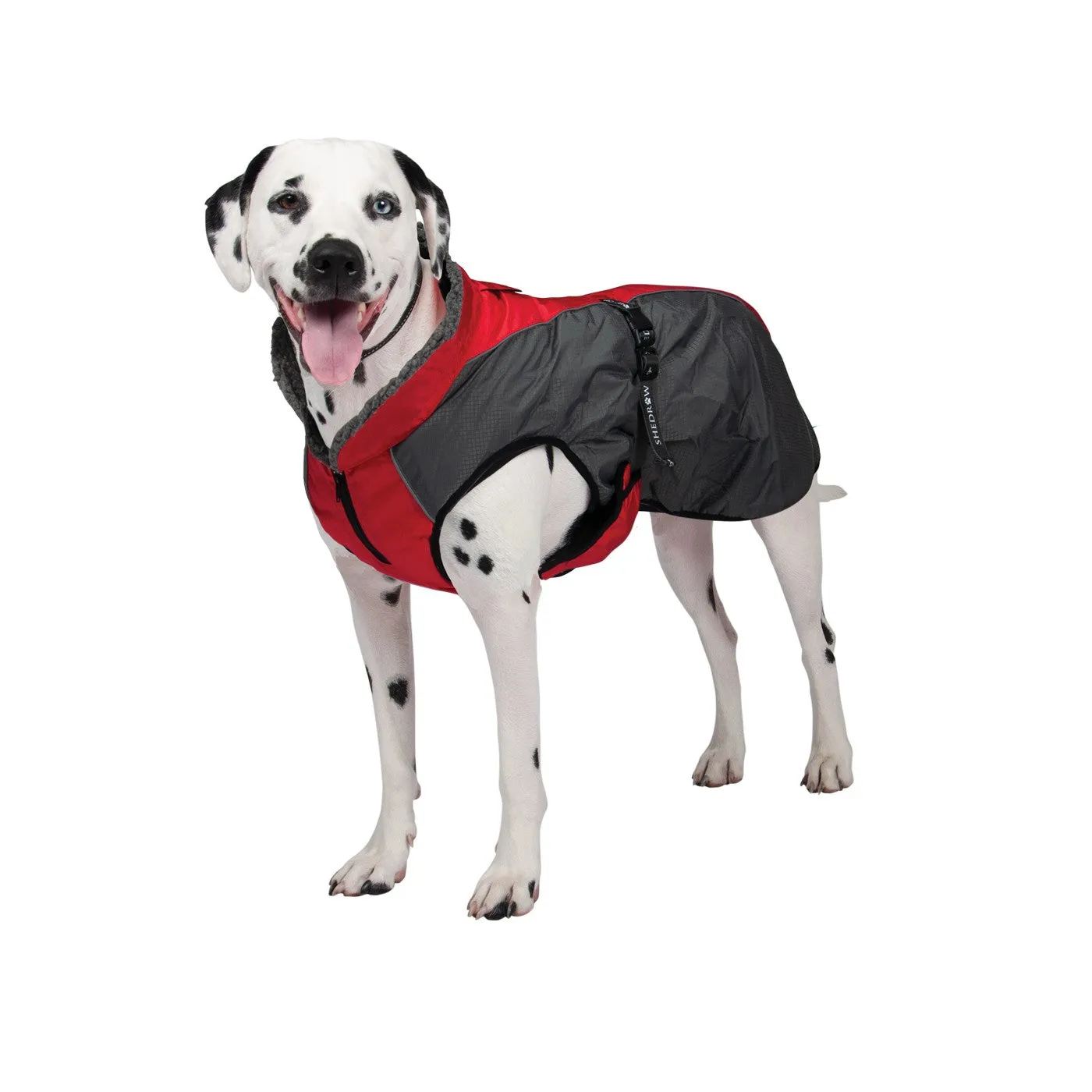 Shedrow K9 Chinook Equestrian Red